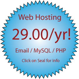 Hosting starting at $29 per year.